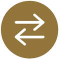 Switch Icon